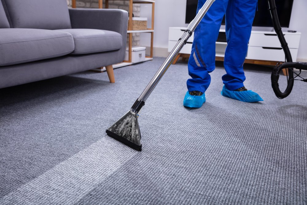 DIY Steam Carpet Cleaning Why You Should Hire An Expert