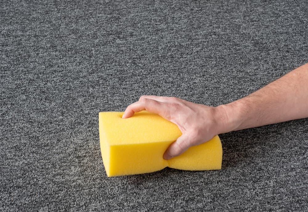image of a large yellow sponge and a hand scrubbing carpet